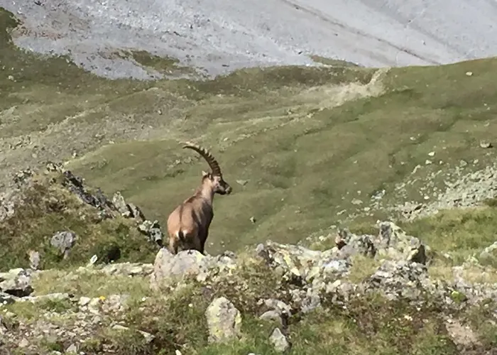 Chasa Mundin Apartamento Scuol