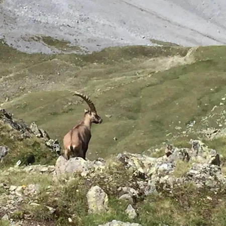 Chasa Mundin Διαμέρισμα Scuol